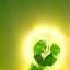 Energy Efficiency Icon