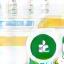 Energy Audit Icon
